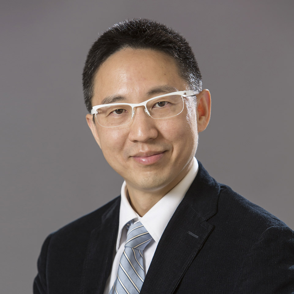 Prof. Henry CHAN